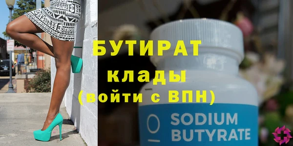 индика Каменка