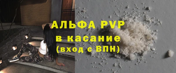 индика Каменка