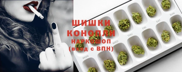 скорость Каменногорск
