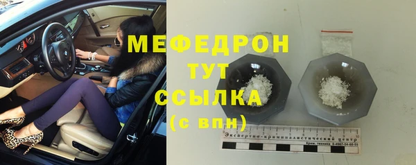 индика Каменка