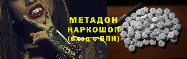 индика Каменка