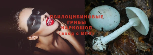 скорость Каменногорск