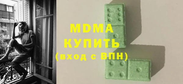 индика Каменка