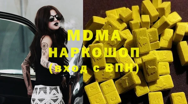 индика Каменка
