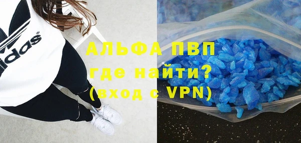 индика Каменка