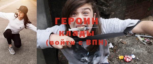 индика Каменка