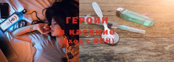 индика Каменка