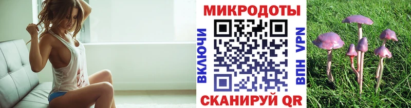 Псилоцибиновые грибы GOLDEN TEACHER  OMG как войти  Кузнецк  купить наркотики сайты 