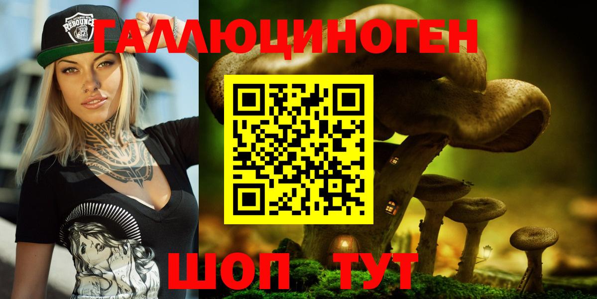 Псилоцибиновые грибы Psilocybe Кузнецк